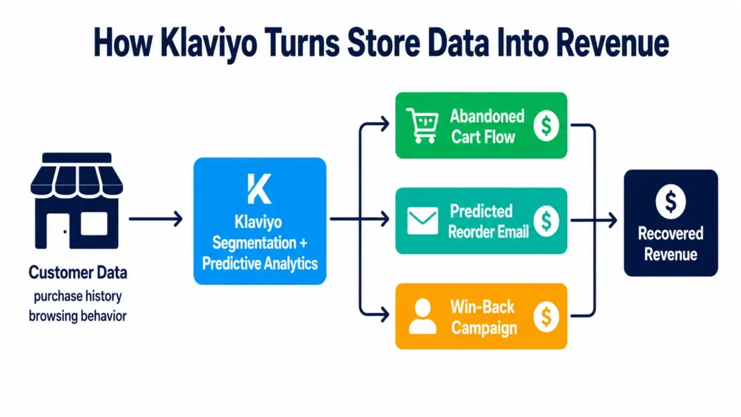 Flow diagram showing how Klaviyo turns ecommerce customer data into revenue through segmentation, predictive analytics, abandoned cart flows, reorder emails, and win-back campaigns